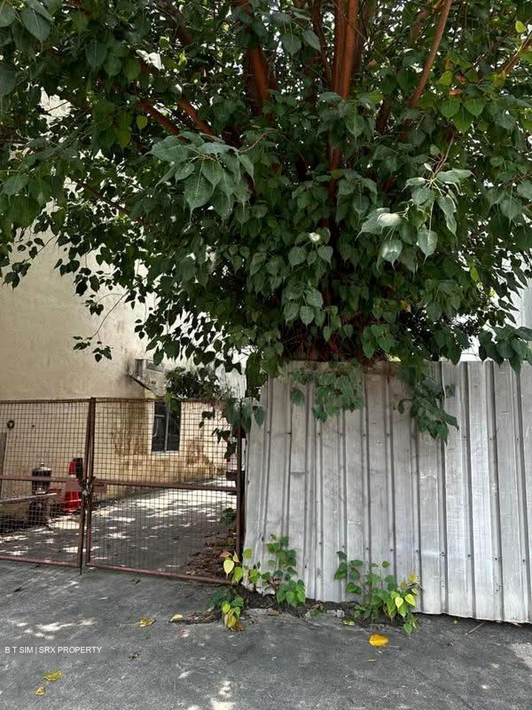 Sims Avenue (D14), Terrace #628879661